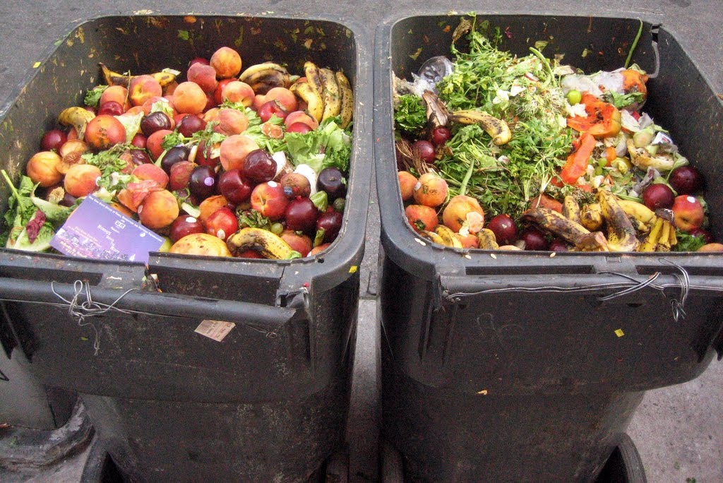 Organic Waste